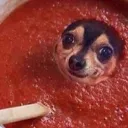 diddysauce