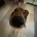 slooba.