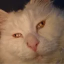 unixcasts