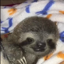 lpzpgs02#8793's avatar