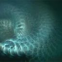 luminarial