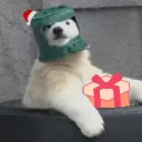 mrfloofles
