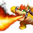 bowser4578