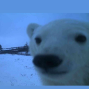 snoops5#3063's avatar