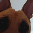 forevershifty