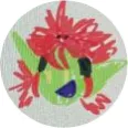 kasifelvt