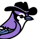 thebluejayjay