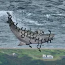 endolphin9605