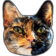 Civitai profile picture for @Pedal