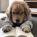 apprise