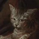 katsior