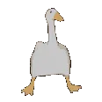 goose.ski