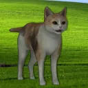 natesfate