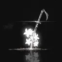 chronozia