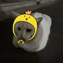 atlasomegaalpha