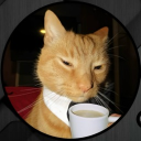 lyytikki#7136's avatar