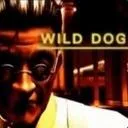 wild_dog.
