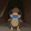 kmcallah