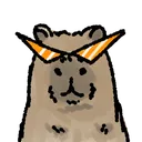 floopy