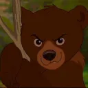 kodabear.