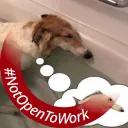 lblend