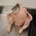 ecstazzz