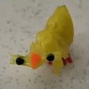 kozzeyy