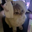 cherryqt