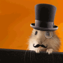 sirhamsteralot