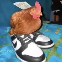 MrGuessMan's Avatar