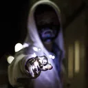procyonlotor0966