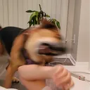 brian.toe