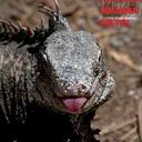 dirtycandy#4888's avatar