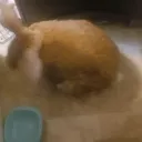 darkkitten