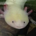 smoothasfelt