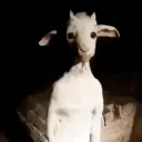 daniz