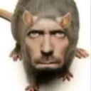 rapscalion
