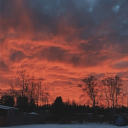 scepticalmage's Avatar