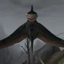 angry_cliffracer