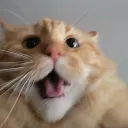 itzviralz