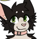 meowsome