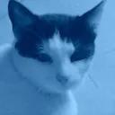 micky777