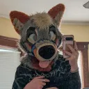 partdoggo