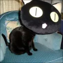 iamspazticus
