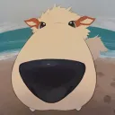 revashtu