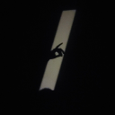 nasir_bre#9771's avatar