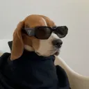 foozdry