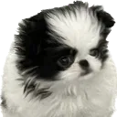 laatikkoxx
