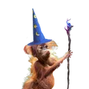 ecolyo