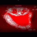 avatar handsome toby